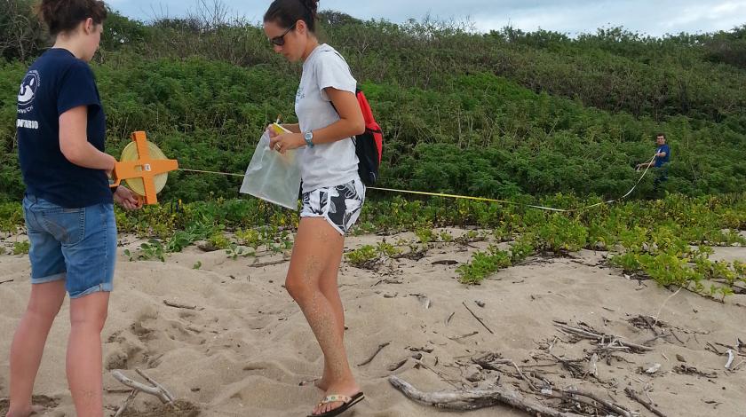 Earthwatch volunteers record the location of a leatherback sea turtle nest